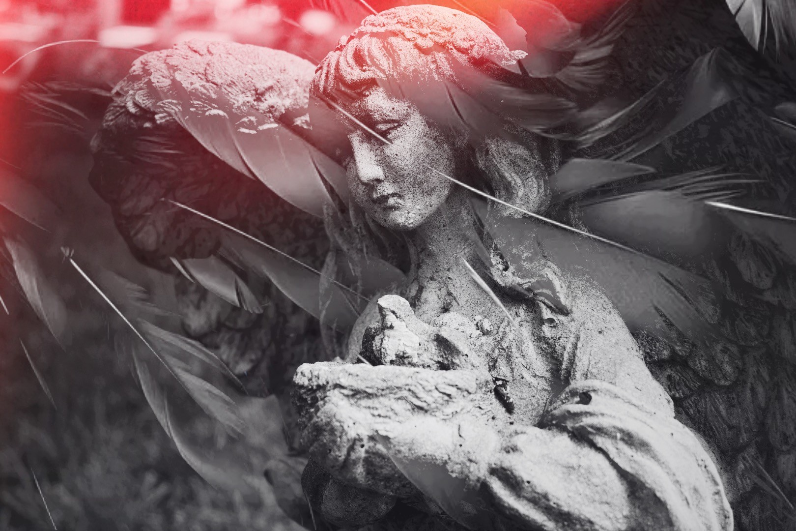 Blackwing Reverie by Lindsey Brashears