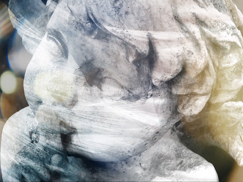 Artwork Feathered Tranquility by Lindsey Brashears