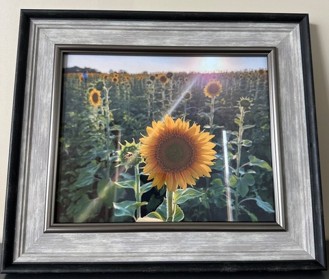 Artwork Can You BEE-Lieve it by Kent Canady