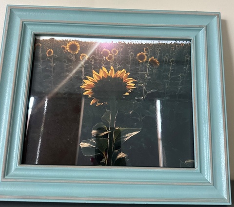 Artwork Here Comes the Sun  by Kent Canady