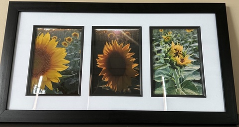 Artwork Kansas Trifecta by Kent Canady