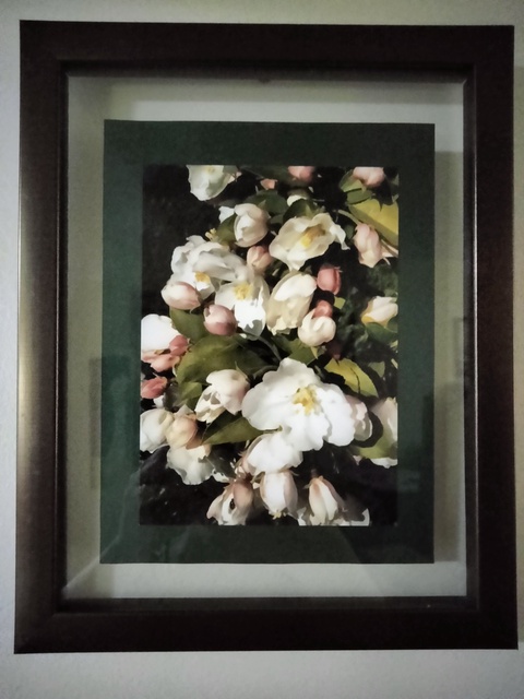 Artwork Spring Again by Laura Probst (Display only)